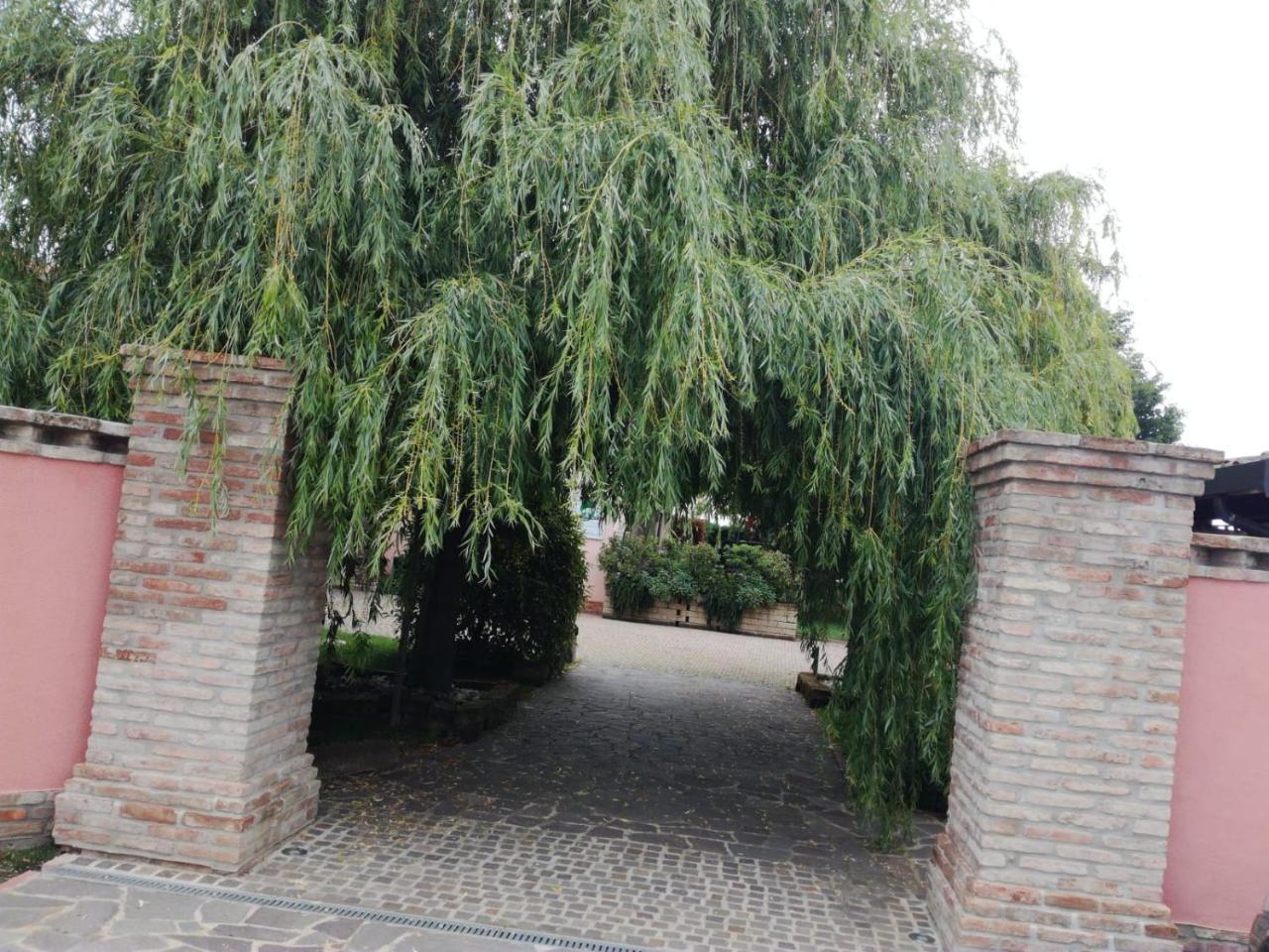 Вилла Agriturismo Ferretti Massa Lombarda Экстерьер фото